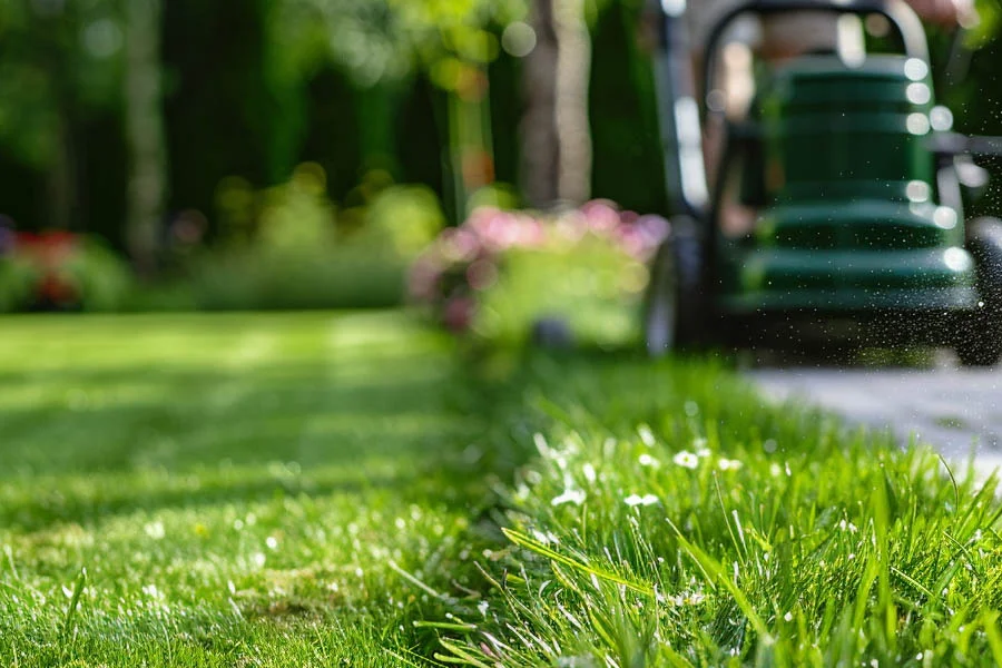 self propelled electric lawnmower